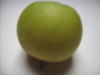  amboulne