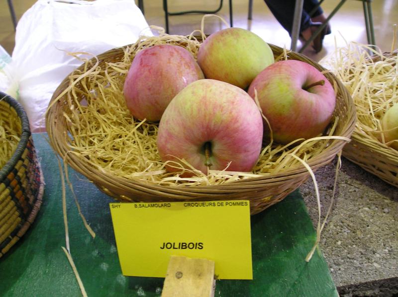  jolibois