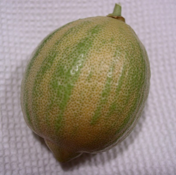  eureka panaché