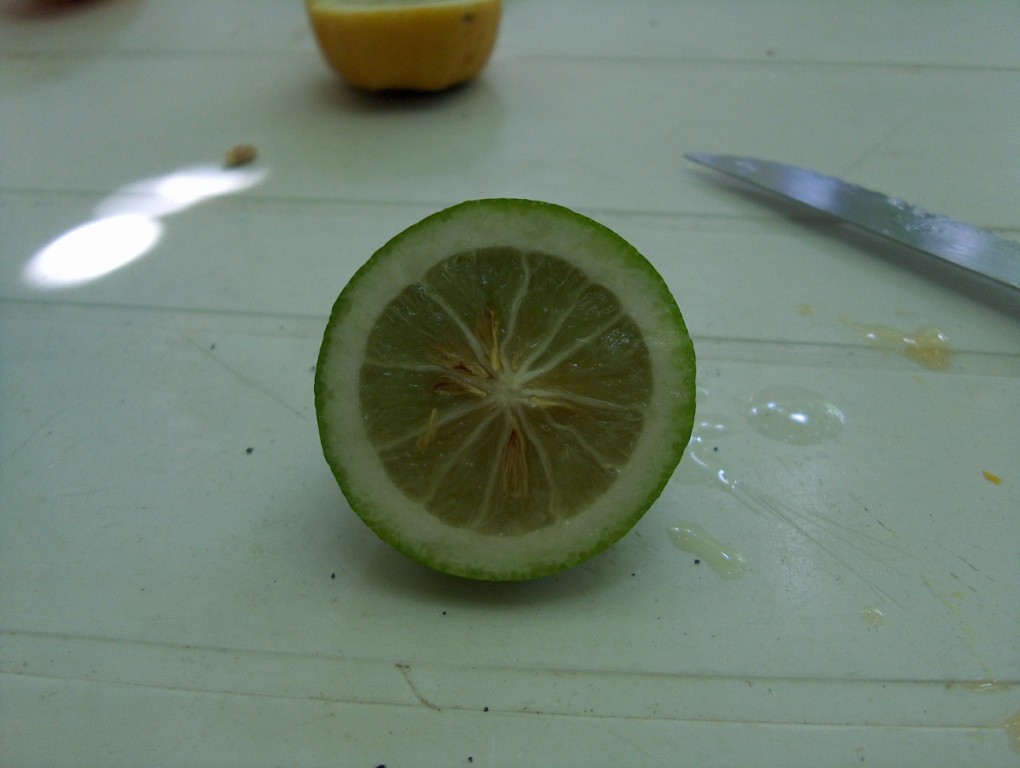  citrangequat 4s