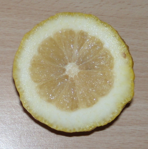  foliis variegatis