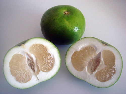  citrus macroptera