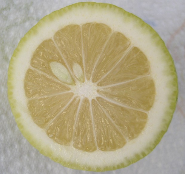  lime douce bisri