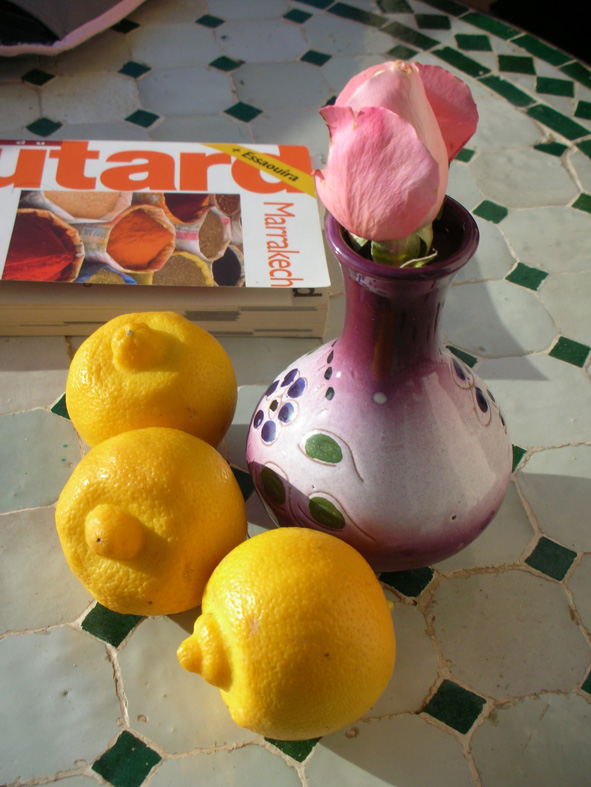 limette de marrakech