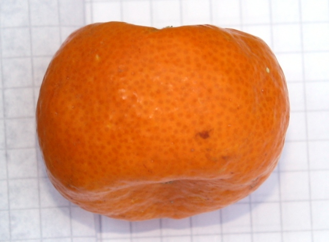  mandarine shekwasha