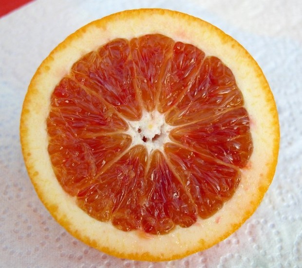  sokotoro