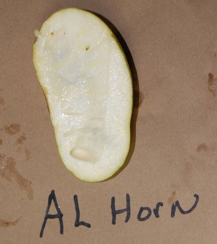  al horn