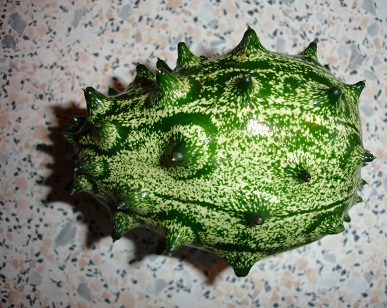  kiwano