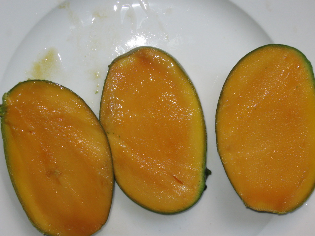  mangifera indica mallika
