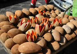  manilkara zapota