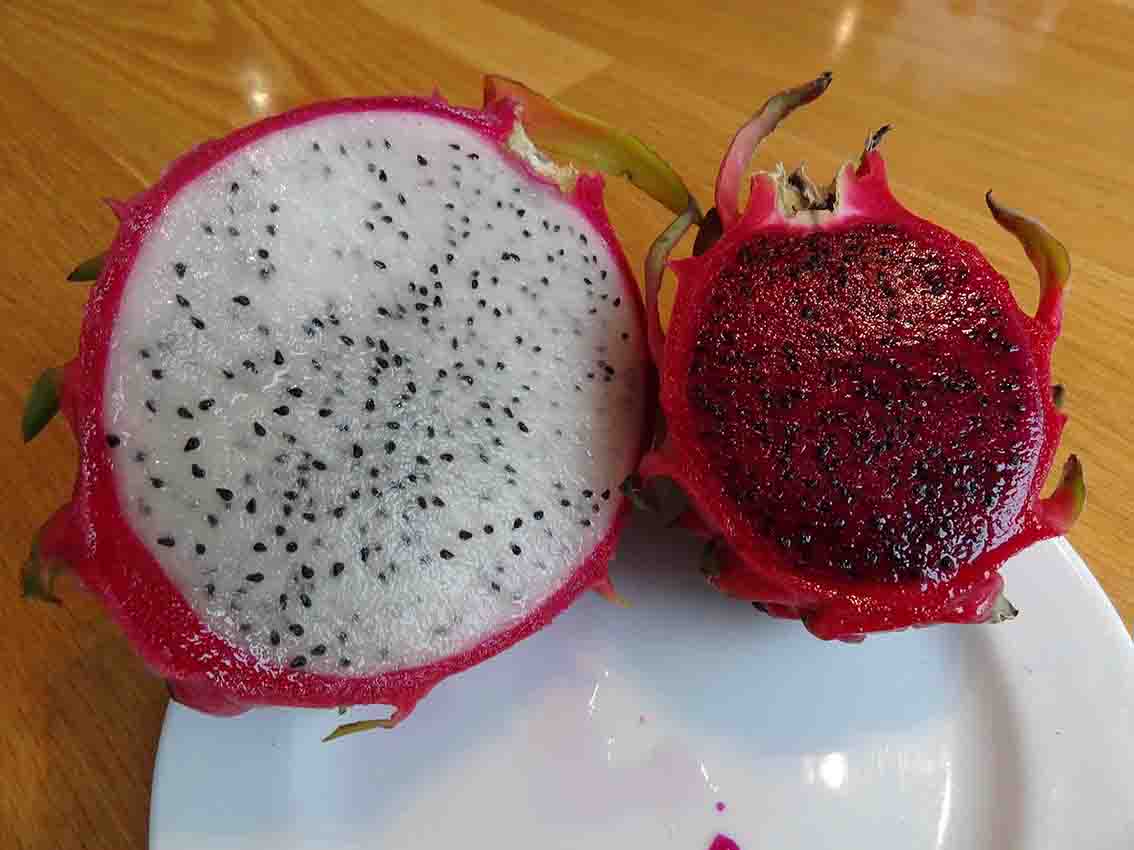  pitahaya