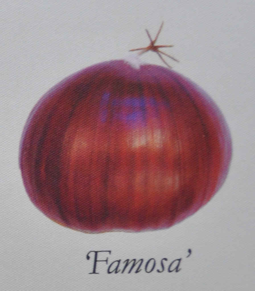  famosa