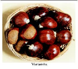  martaínha