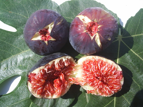  bursa black