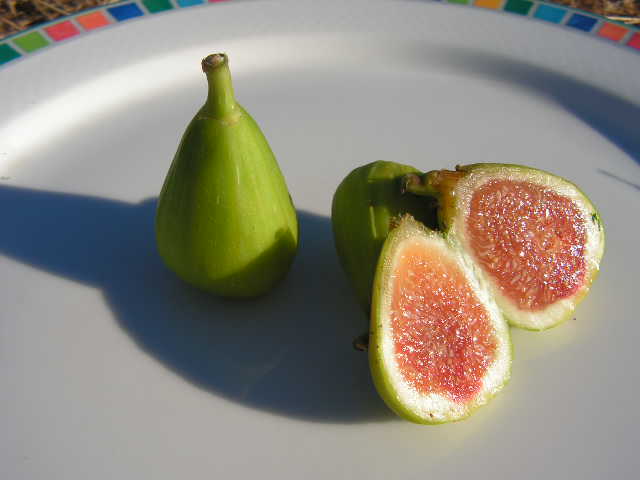  lingurato