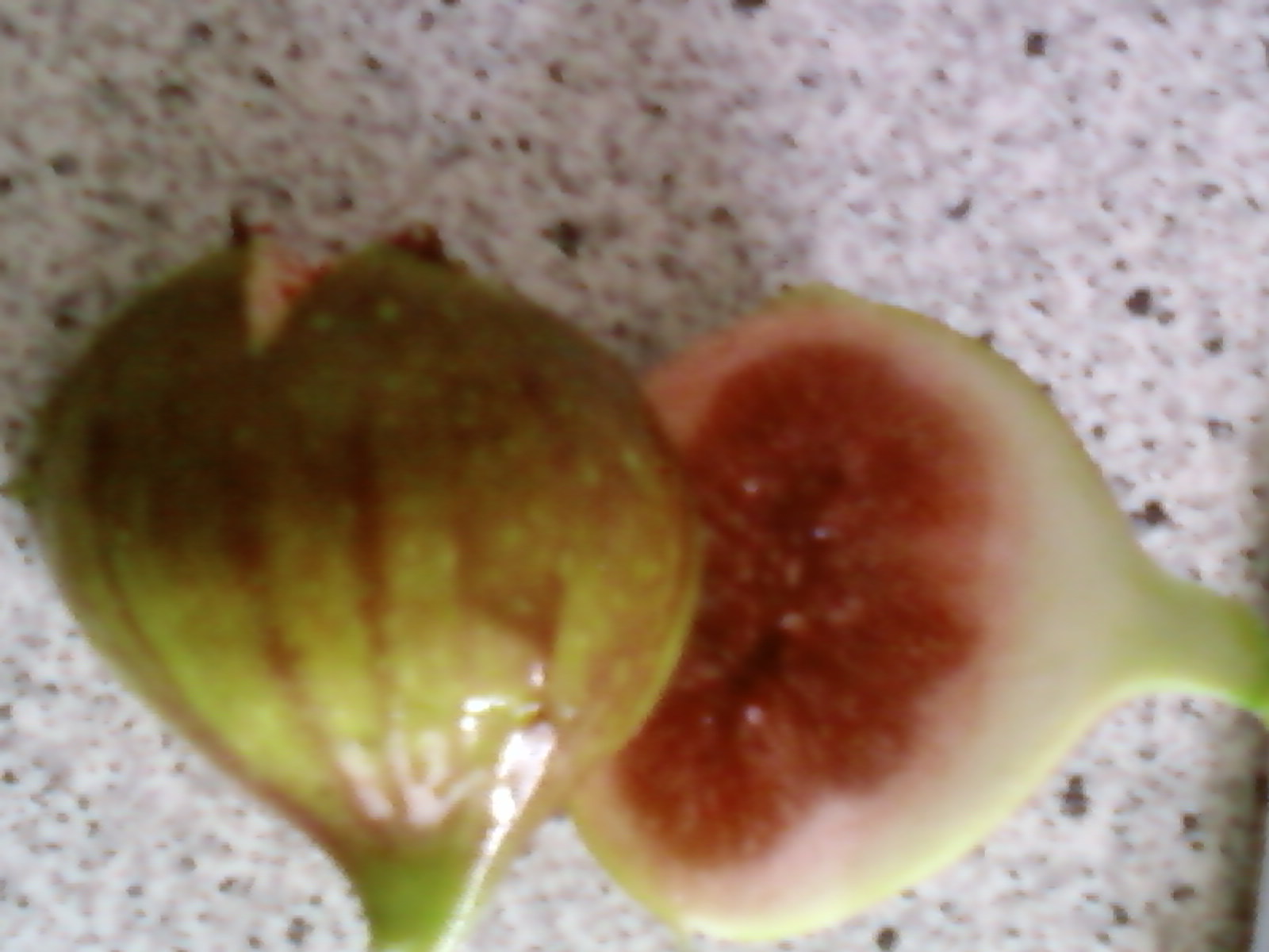  negronne