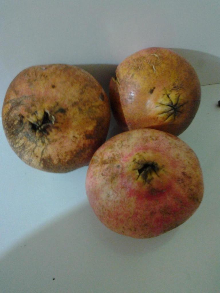  manna de goni