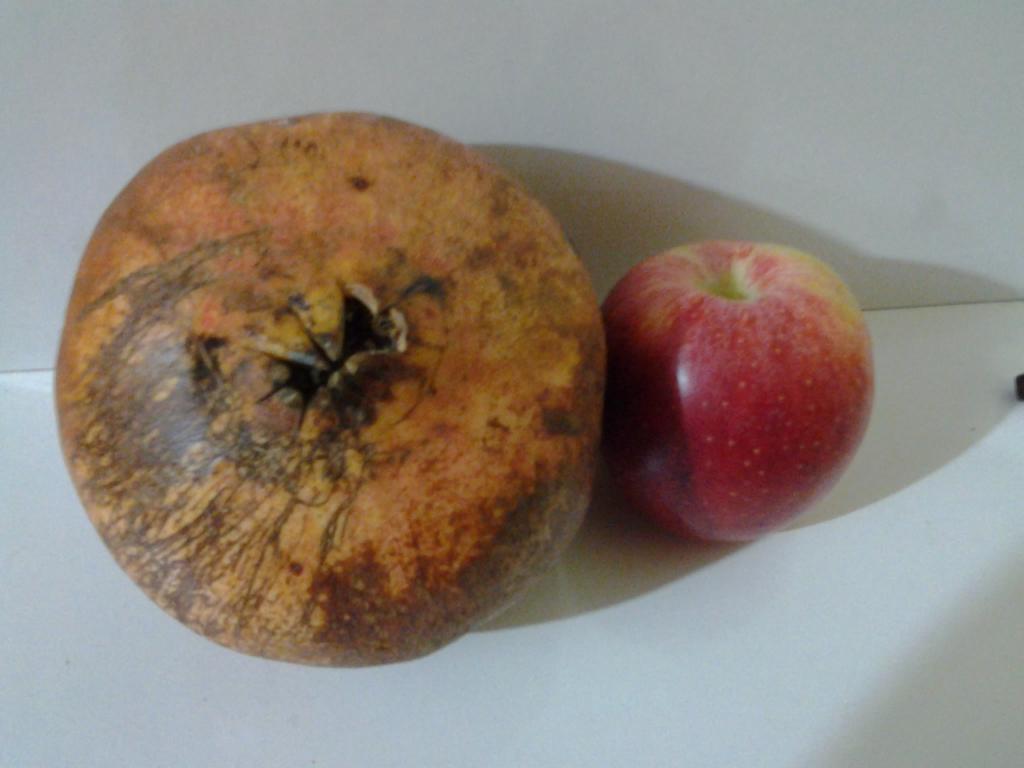  manna de goni