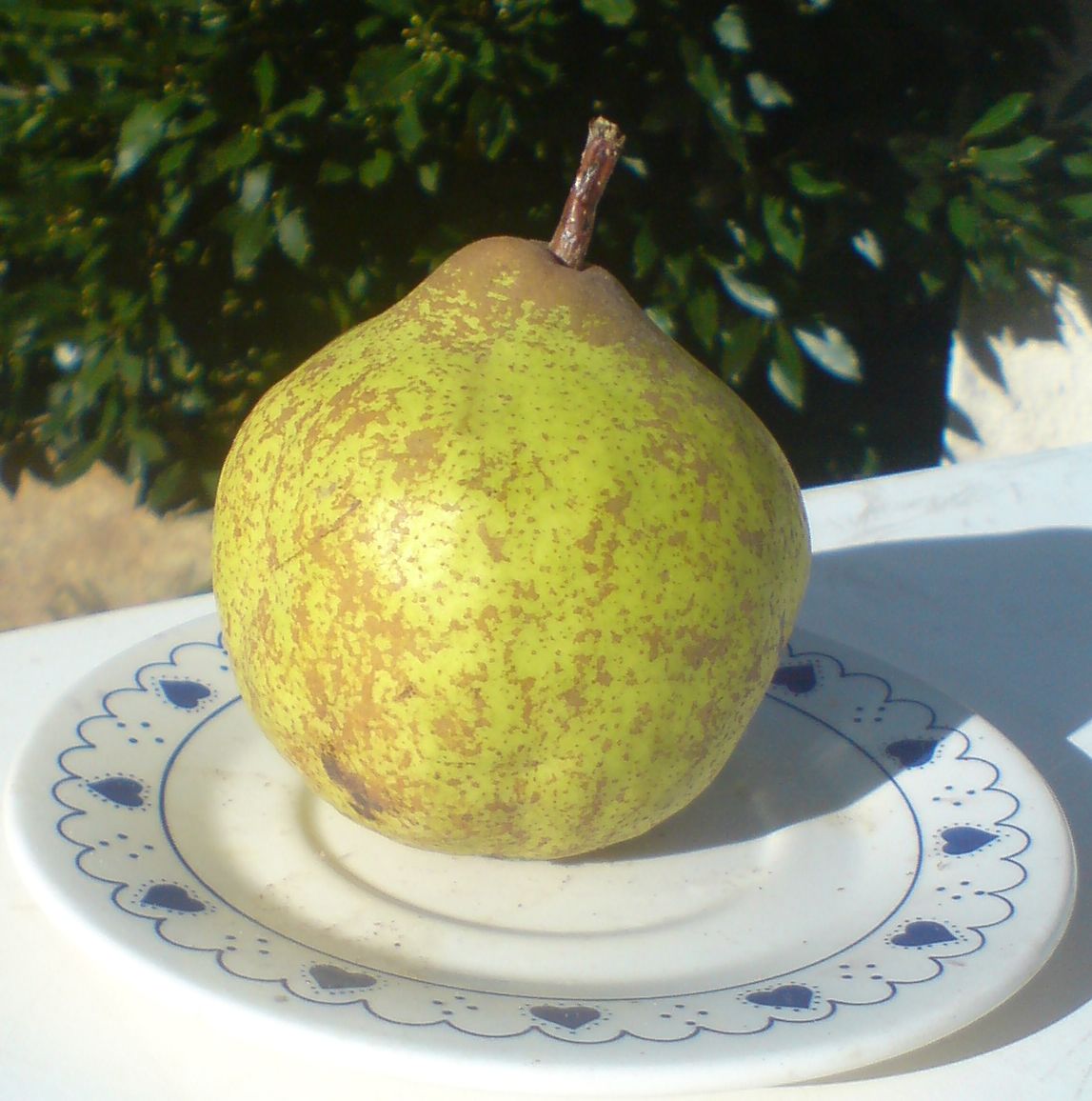  bergamote de parthenay