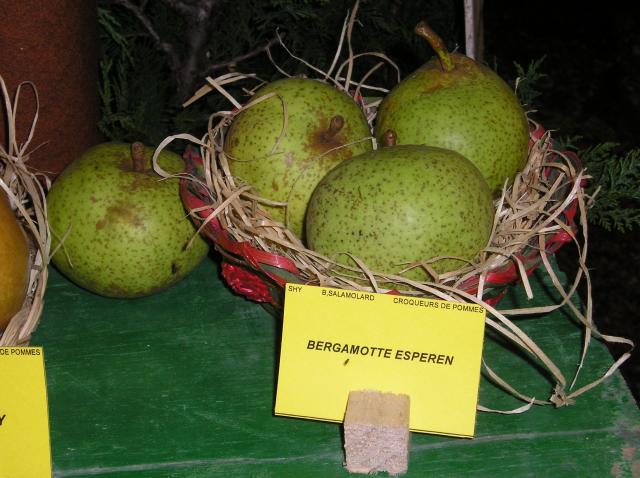  bergamote esperen
