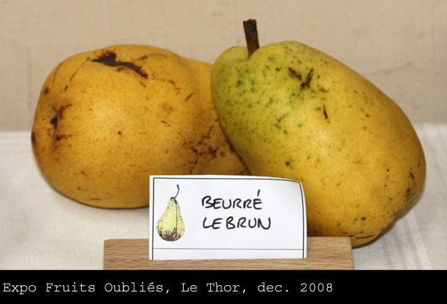  beurré lebrun