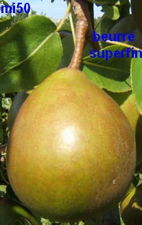  beurré superfin