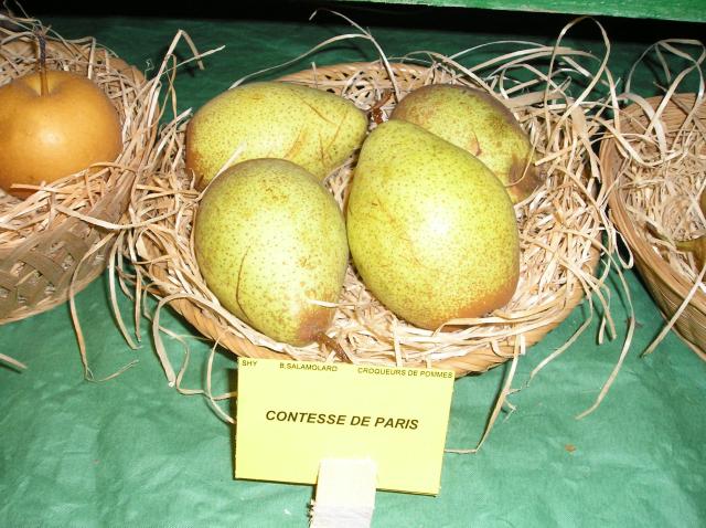  comtesse de paris