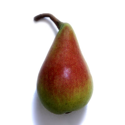  etrusca