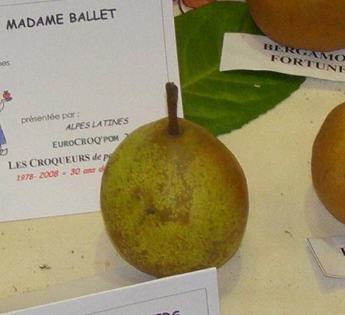  madame ballet