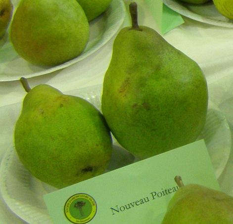  nouveau poiteau