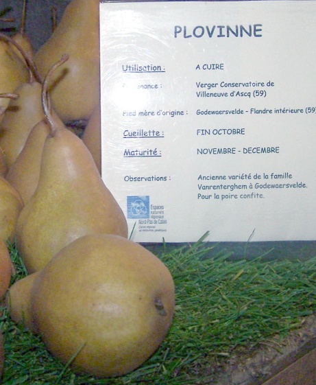  plovinne