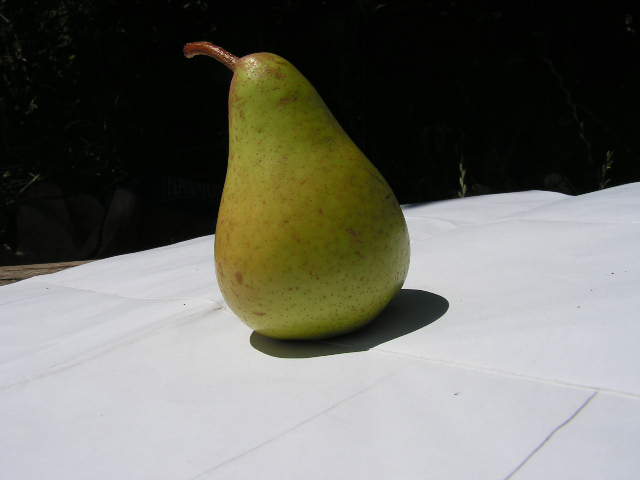  quinta dos galegos