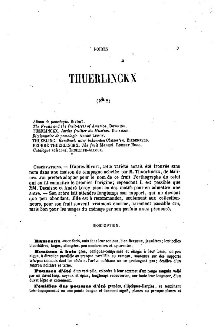  tuerlinckx