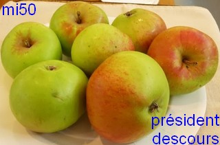  Président Descourt