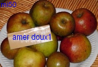  amer doux