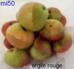  argile rouge