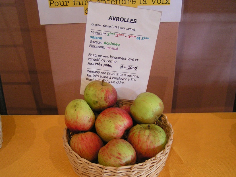  avrolles