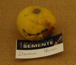  banana