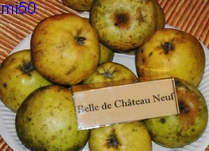  belle de châteauneuf