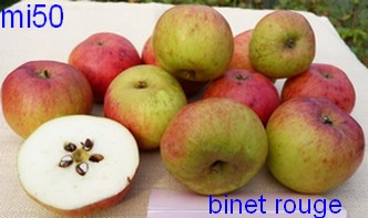  binet rouge