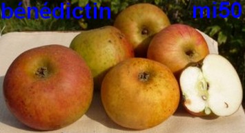  bénédictin