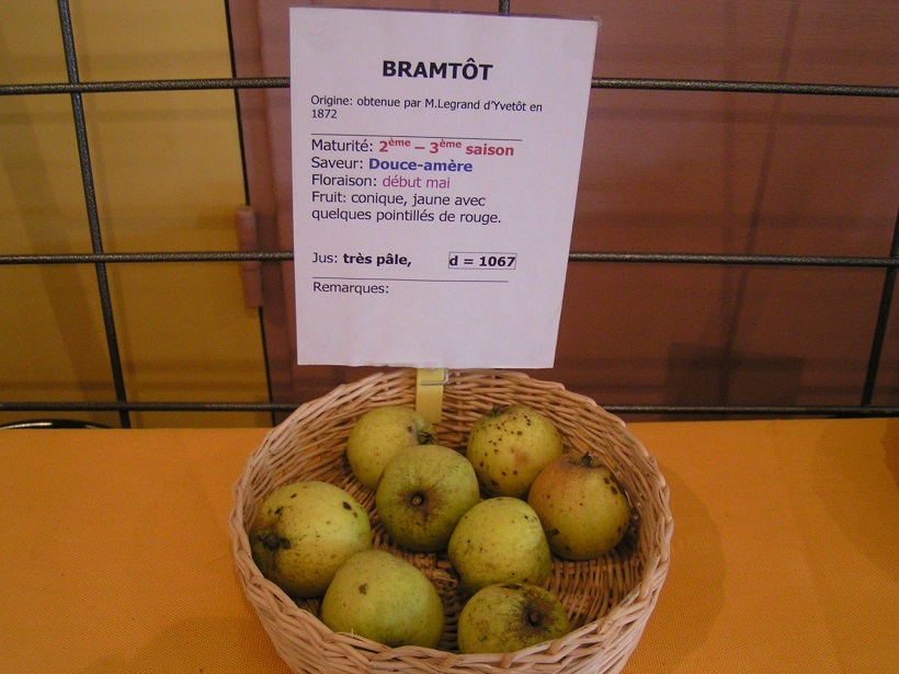  bramtot