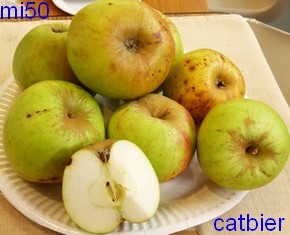  catbier