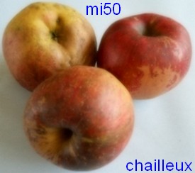  chailleux