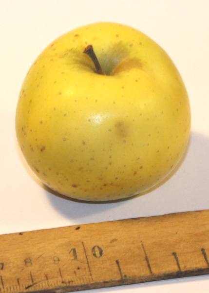  citron