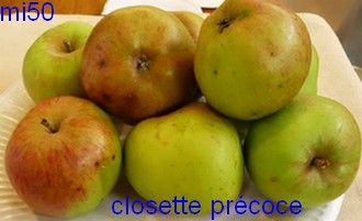  closette précoce