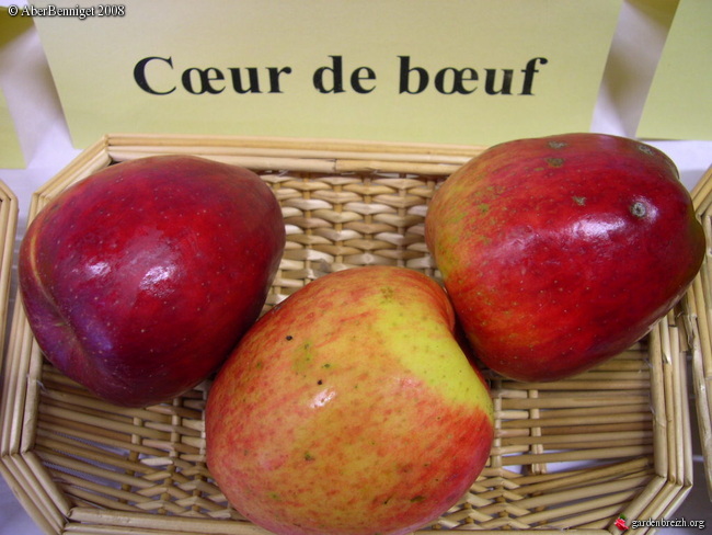  coeur de boeuf