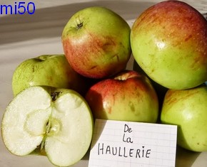  de la haullerie