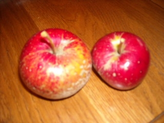  de sang