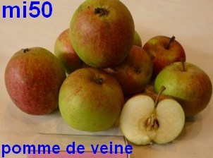  de vigne